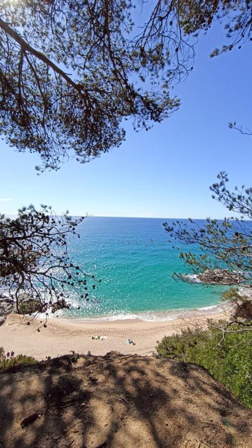 Daro Apartments Castell-Platja d’Aro Exterior foto